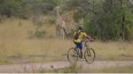 Best Gorilla Trekking and Safari Holidays in Uganda: