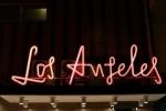 The Entrepreneur's Journey to Success in Los Angeles